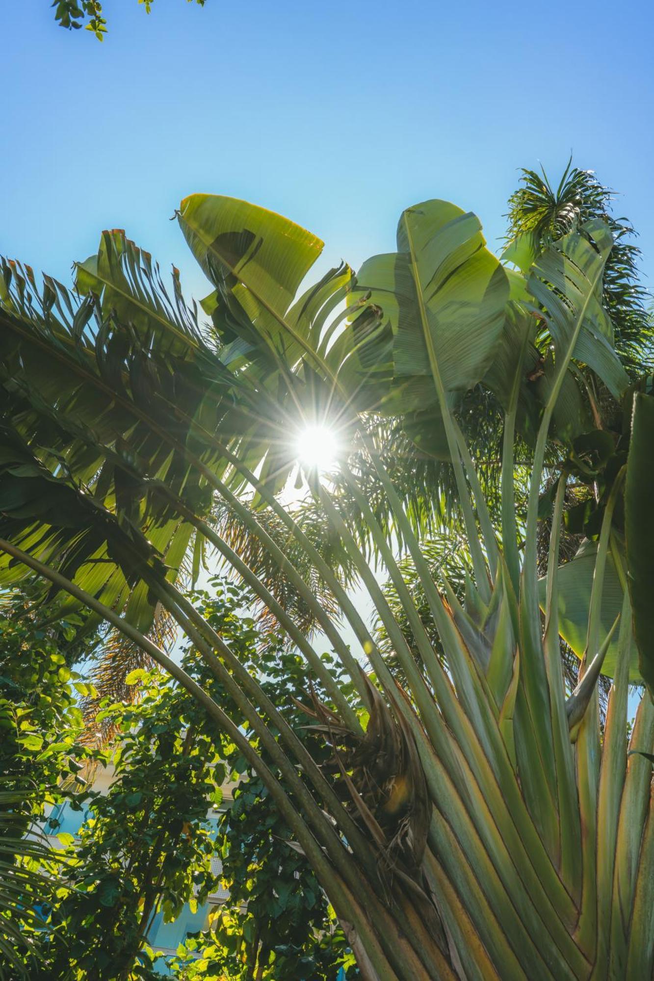 Pousada Vila Tamarindo Eco Lodge ฟลอเรียนอโปลิส ภายนอก รูปภาพ